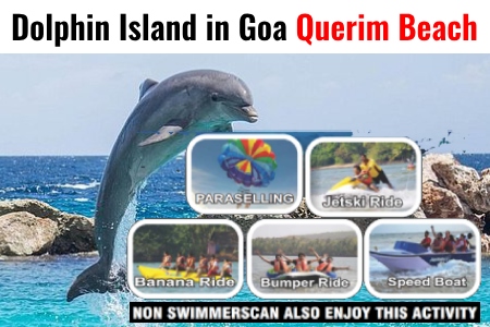 Dolphin Island in Goa at Querim Beach